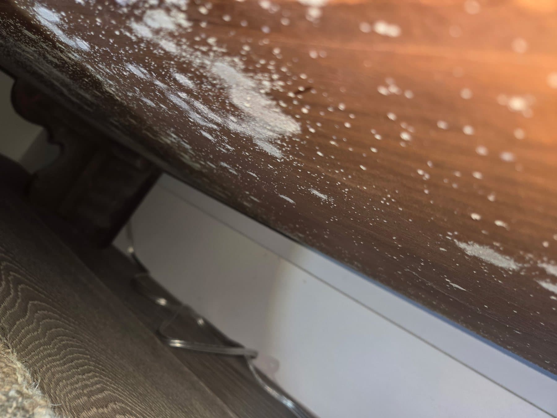 Pale, fuzzy mold colonies on the underside of a dark wood furniture panel, photographed on site