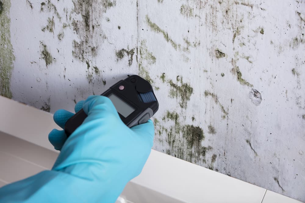 Moisture meter reading taken against an interior wall